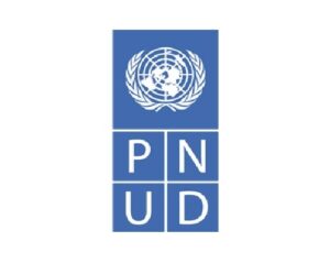 pnud